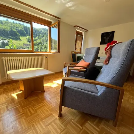 Steiert Panorama Apartments Todtnau Exterior photo