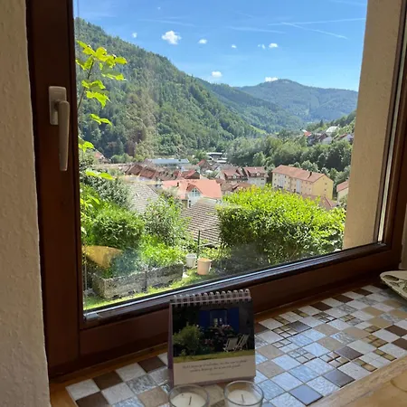 Steiert Panorama Apartments Todtnau Exterior photo