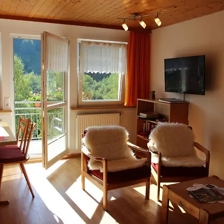 Steiert Panorama Apartments Todtnau Exterior photo