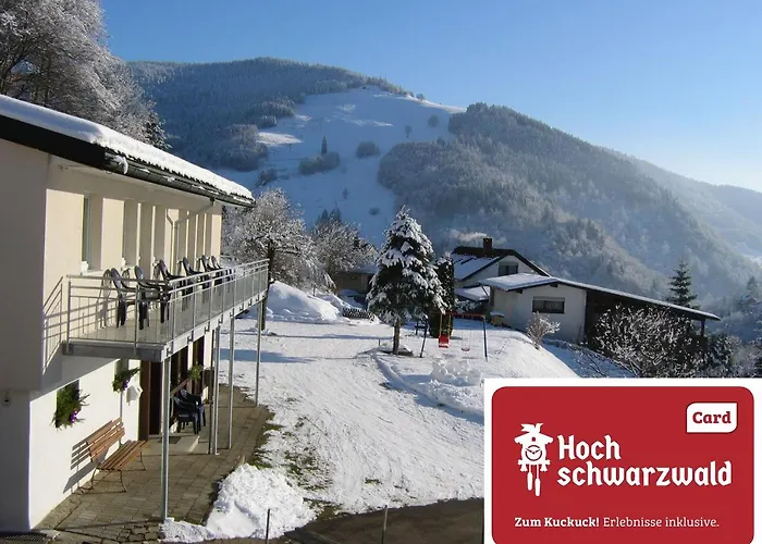 Steiert Panorama Apartments Todtnau