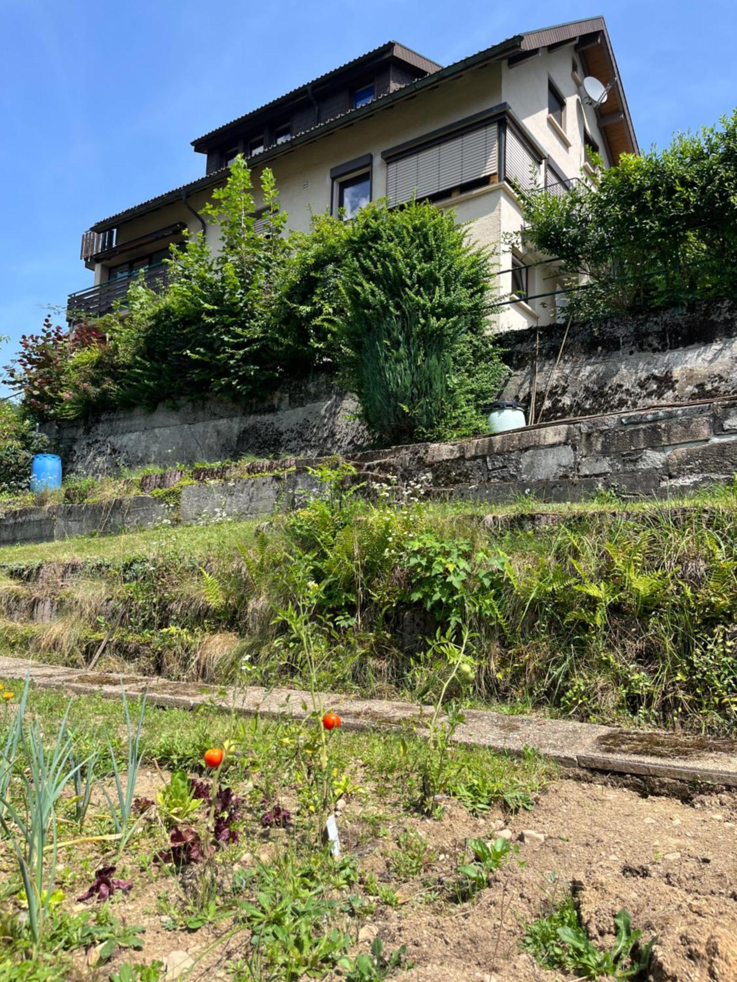 Steiert Panorama Apartment Todtnau