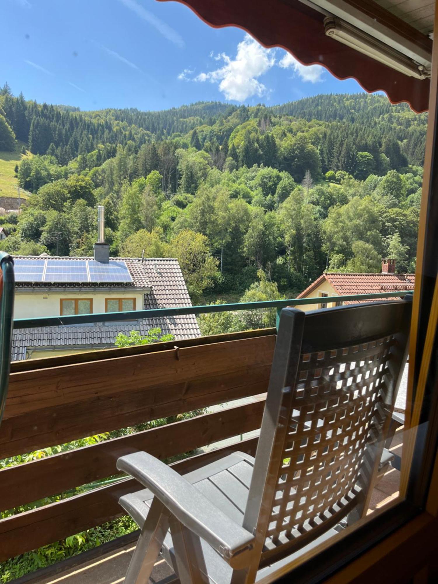 Apartment Steiert Panorama Todtnau