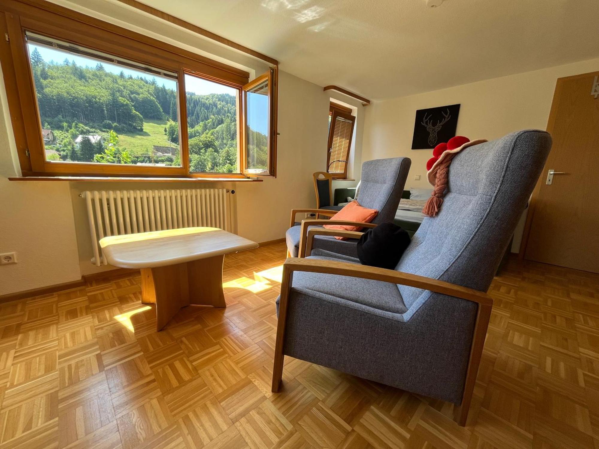Appartement Steiert Panorama