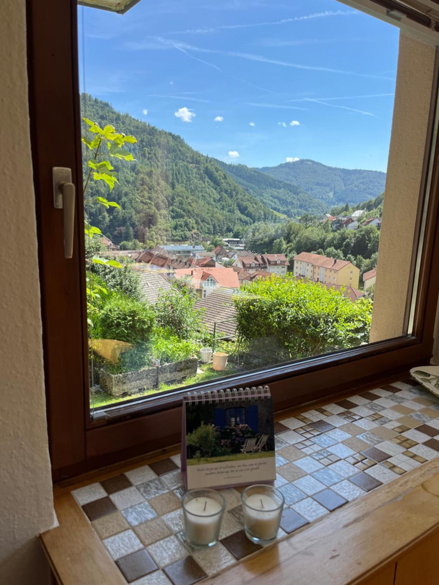 Steiert Panorama Appartement *