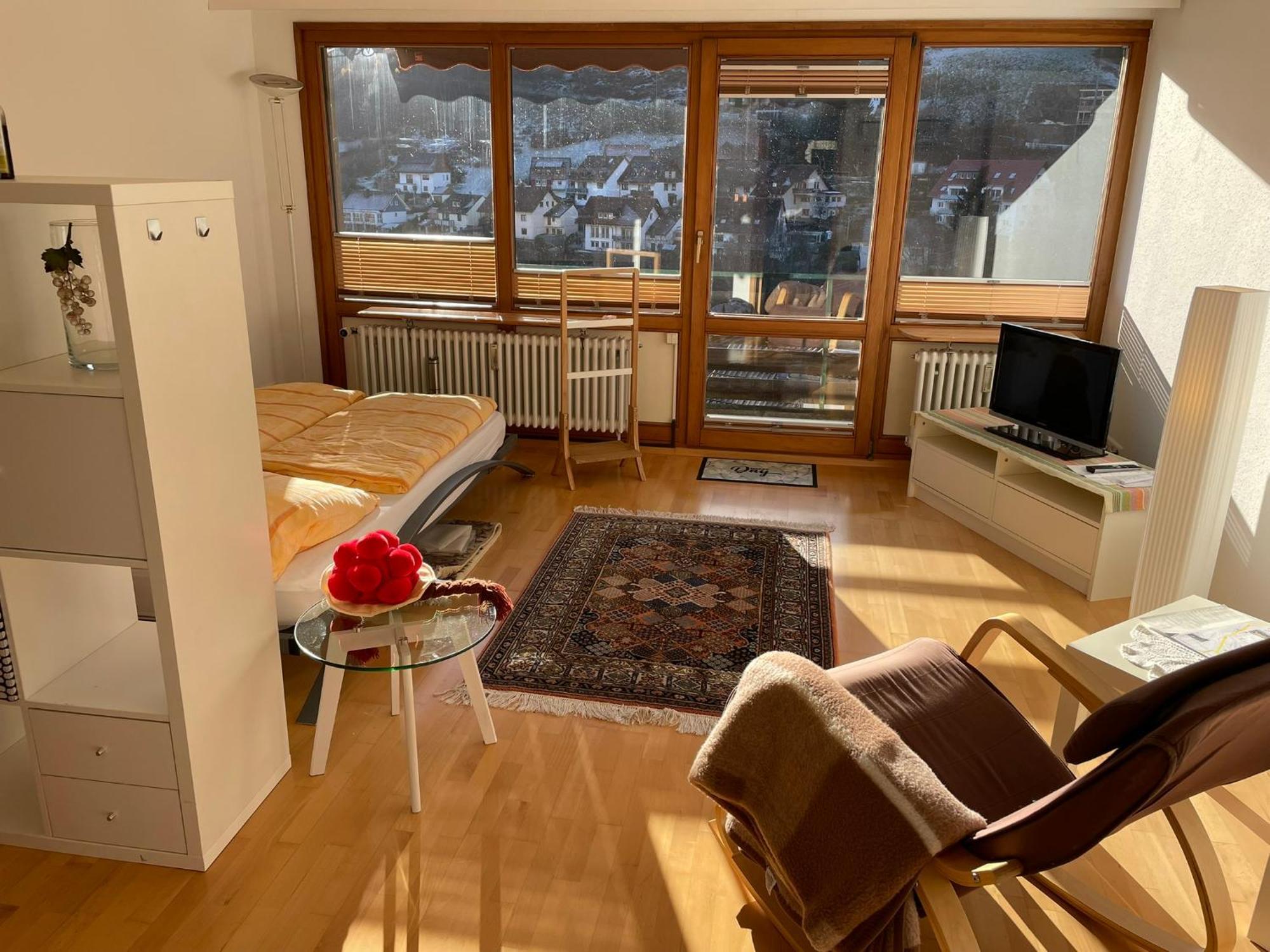 Steiert Panorama Apartment Todtnau