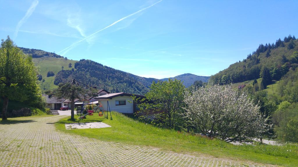 Steiert Panorama Todtnau