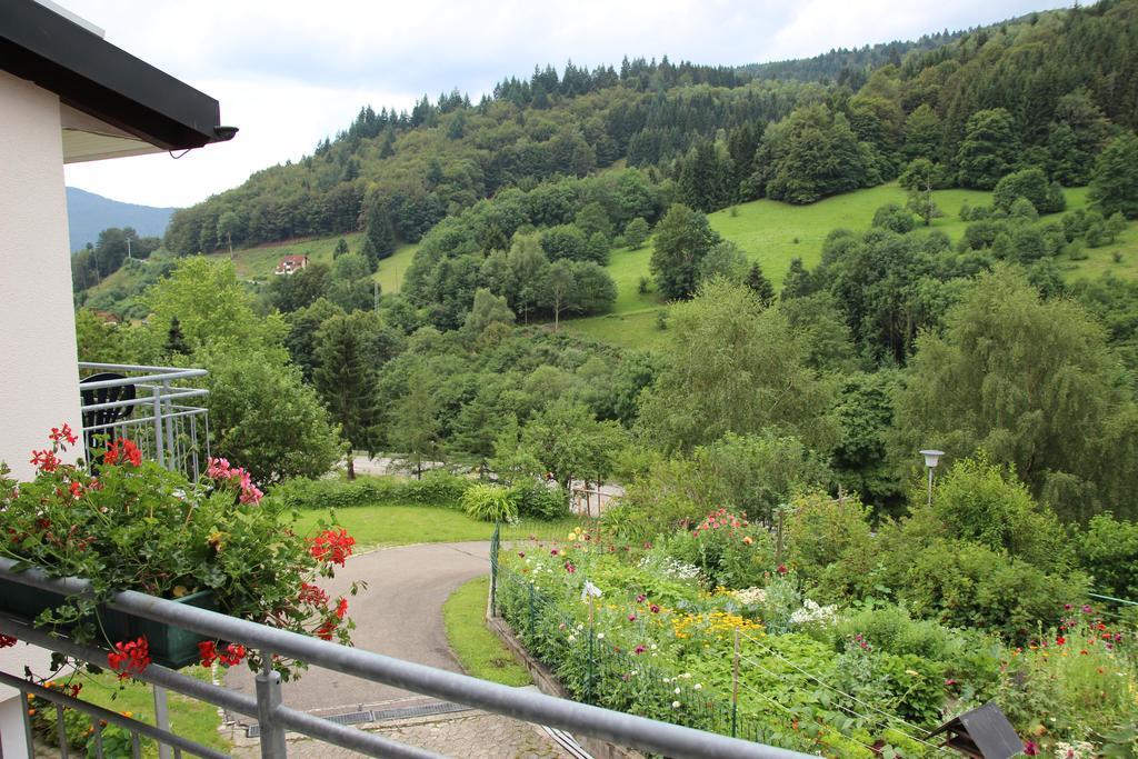 Apartment Steiert Panorama *