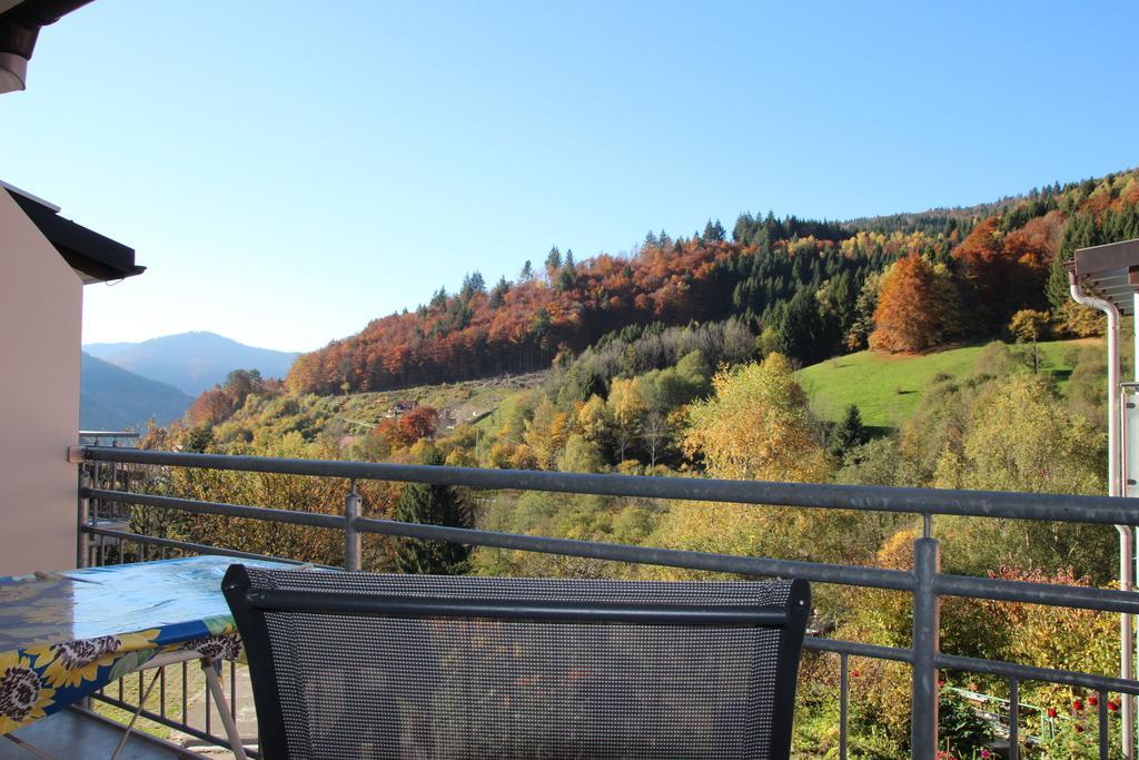 Steiert Panorama * Todtnau