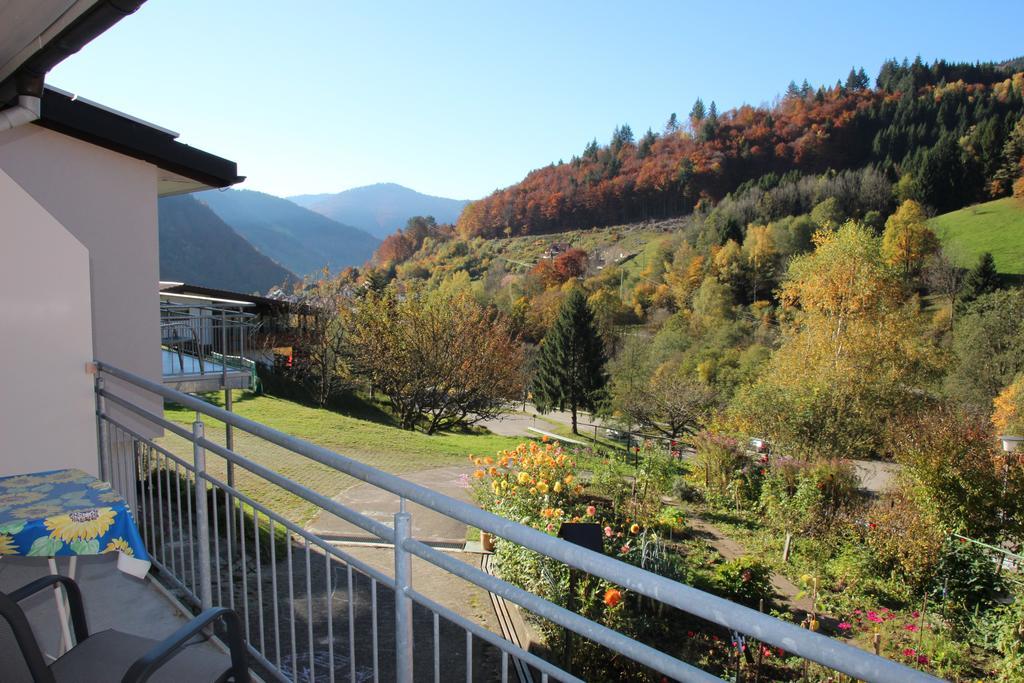 Steiert Panorama * Todtnau