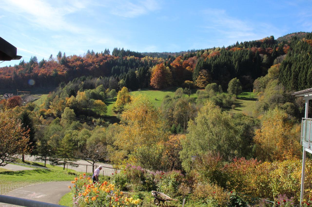 Steiert Panorama Todtnau