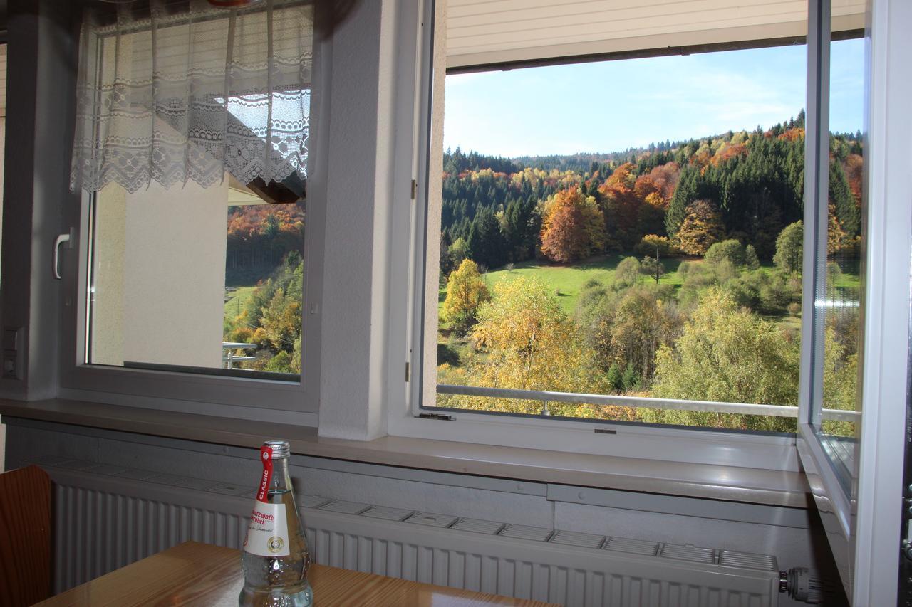 Steiert Panorama