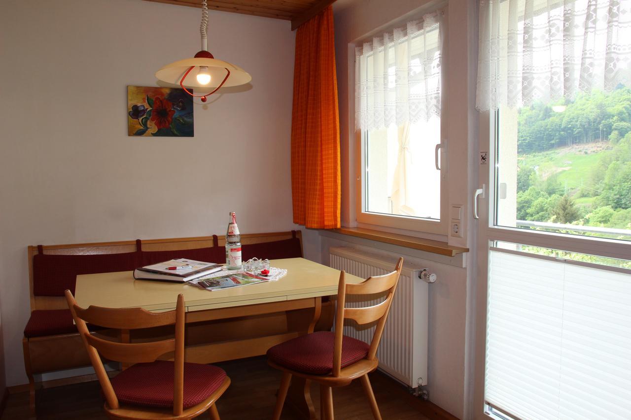 Steiert Panorama Apartment