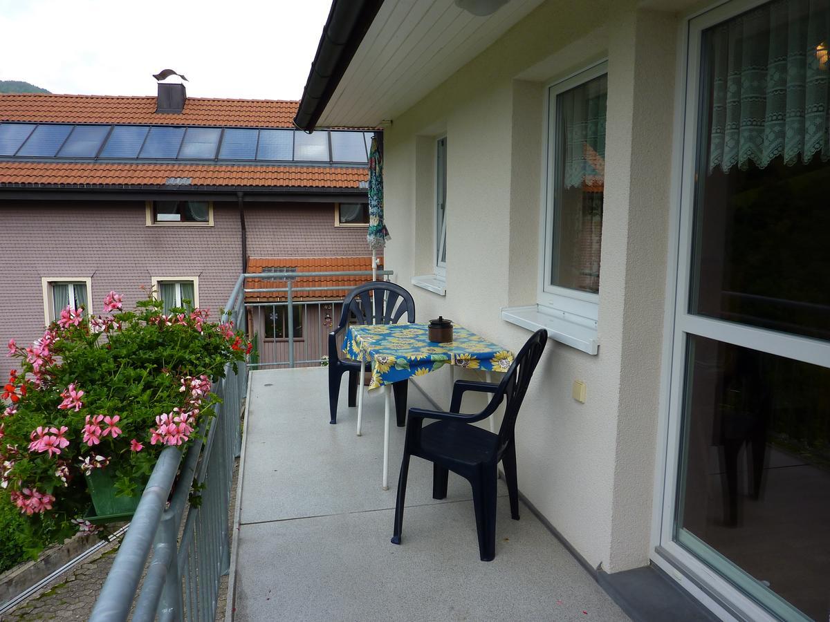 Apartment Steiert Panorama Todtnau