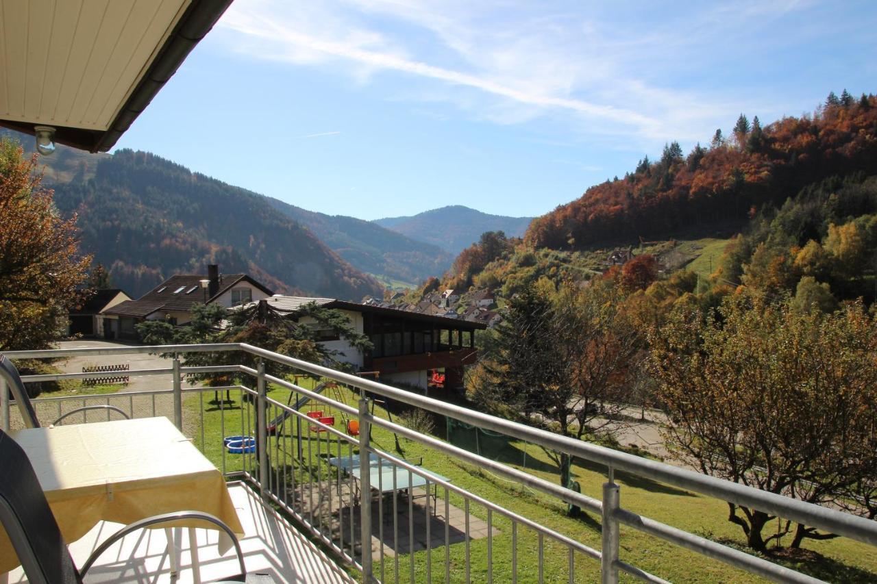 Steiert Panorama *