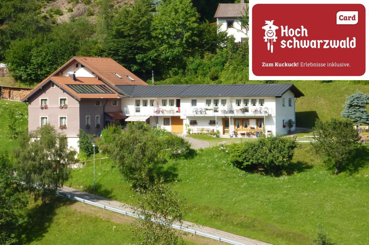 Steiert Panorama Apartment
