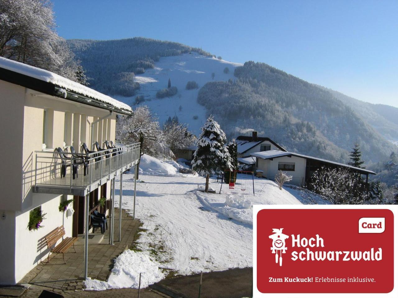 Steiert Panorama