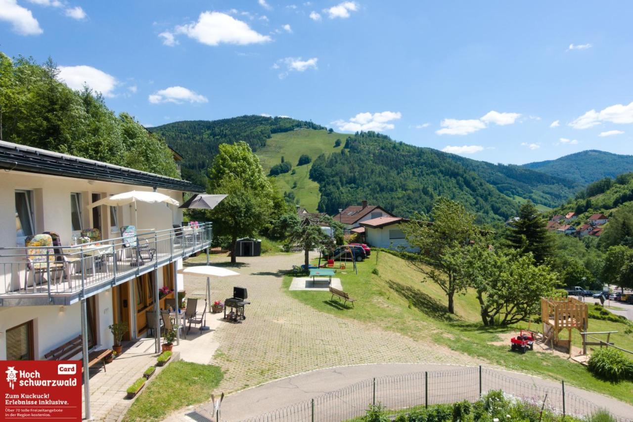 Steiert Panorama Todtnau