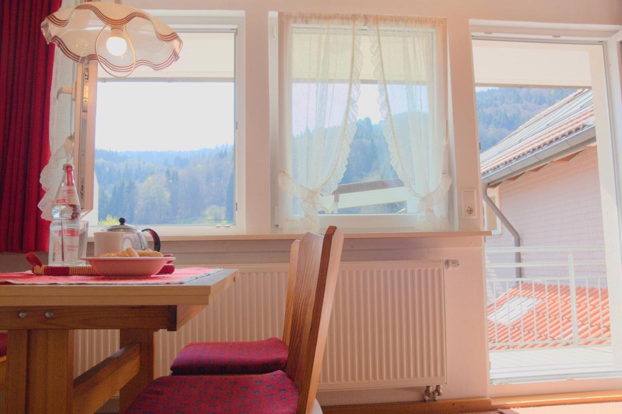Steiert Panorama * Todtnau
