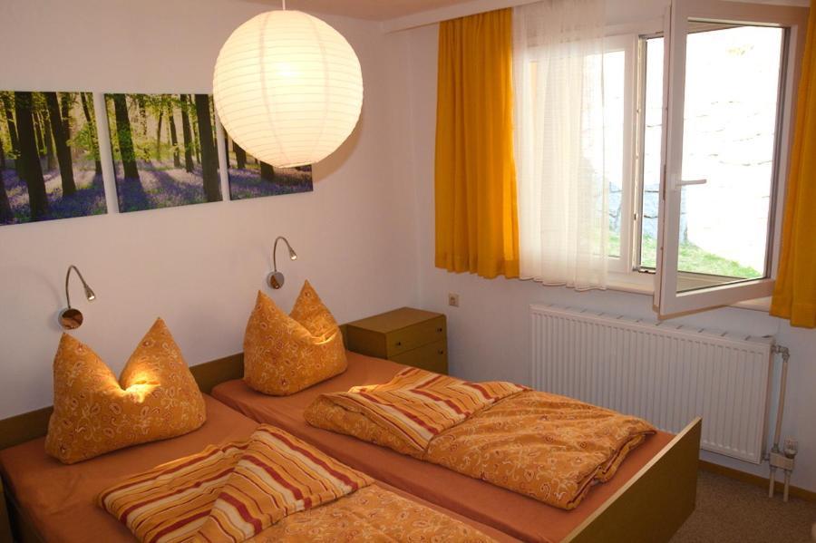 Steiert Panorama Apartment *